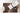 Move - 4455 Brun