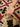 Kamal Tæppe - 106241 Multi