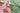 Flair Inde/Ude Tæppe - 105615 Multi